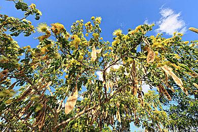 建造反重力飞翔都市《天球-飞升之城》公开